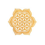 autocollants géométriques dorés motifs étoiles cercles symboles adhésifs décoration ordinateur artisanat bijoux minimaliste usage