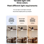 ventilateur moderne noir bois lampe led télécommande flux lumineux haute performance
