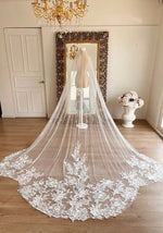 voile mariée blanc ivory dentelle broderie florale transparente classique longueur cathédrale erotique