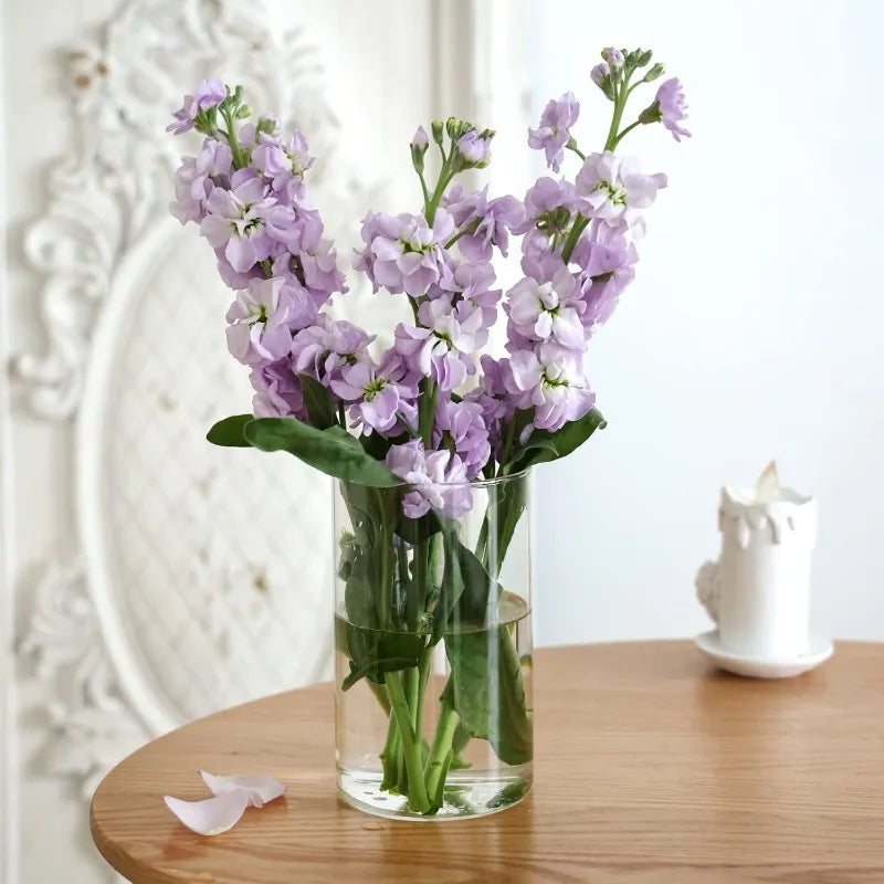vases verre transparent hauteurs différentes lettres imprimées fleurs aquarium poissons rouges figurine tête chat