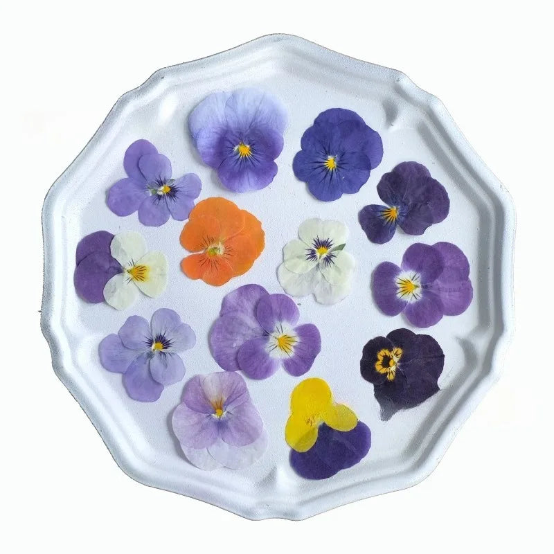 fleurs pressées violettes jaunes oranges decoration moderne assiette decoupe anniversaire intérieur maison