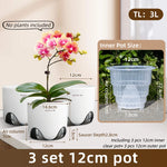 pots orchidées modernes blancs transparents 15cm 12cm 10cm aircone racines rebondissement