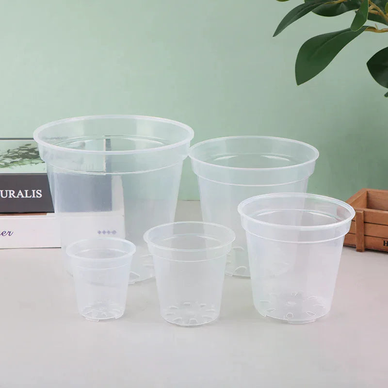 Pots semis transparents trou drainage moderne pratique couvercle