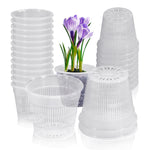 Pot orchidée transparent blanc avec trous