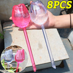 pique plantes tulipe plastique rose violet blanc translucide moderne adhésif kit arrosage