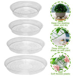 plateau plante transparent moderne 10 12 pouces adhésif concentrique rayures