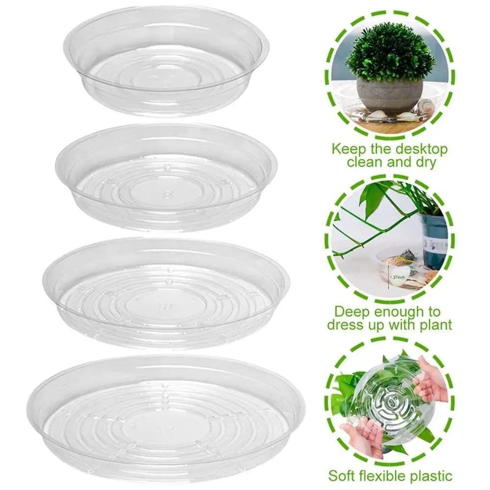 plateau plante transparent moderne 10 12 pouces adhésif concentrique rayures