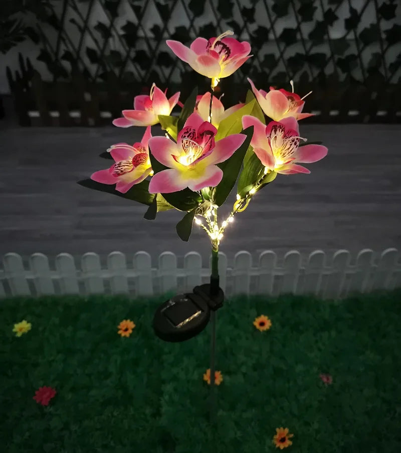 lumière solaire fleur papillon bouquet vert rose jaune moderne extérieur