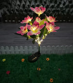 lumière solaire fleur papillon bouquet vert rose jaune moderne extérieur