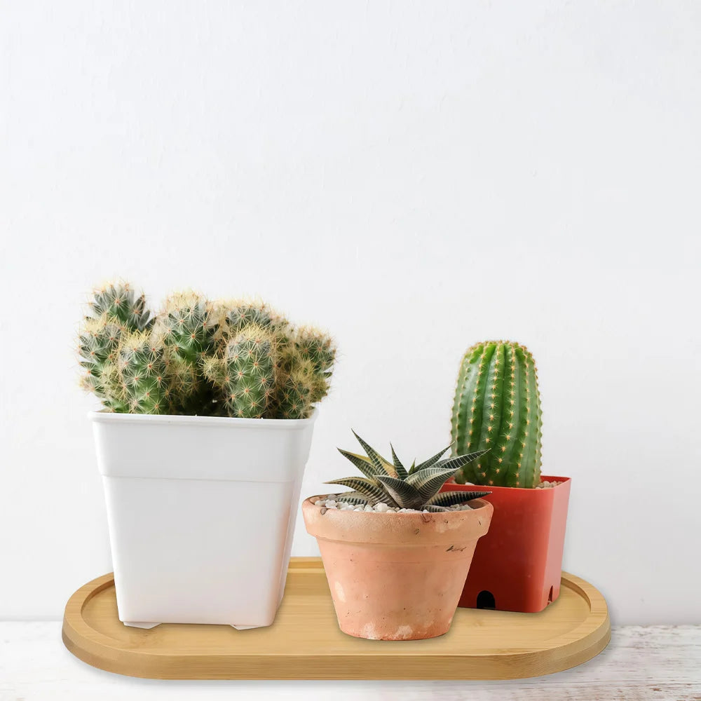 plateau ovale bois naturel minimaliste moderne élégance intérieur servir pot fleurs sous tasses assiette