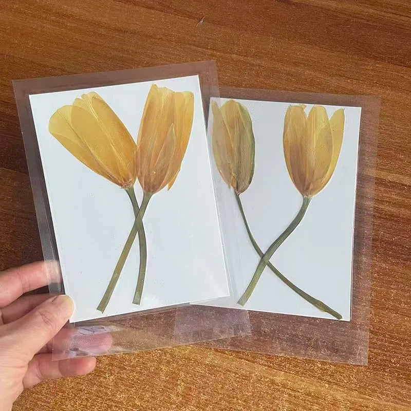 fleurs séchées tulipes violet jaune blanc orange décoration maison naturelle intérieur anniversaire mariage