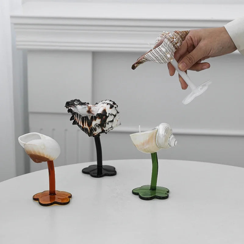 coquillages decor maison blanc rose moderne base fleur grille dimensionsolvable