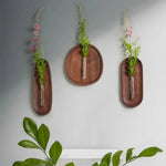 vase mural bois transparent décoration naturelle moderne fleurs plantes murales minimaliste