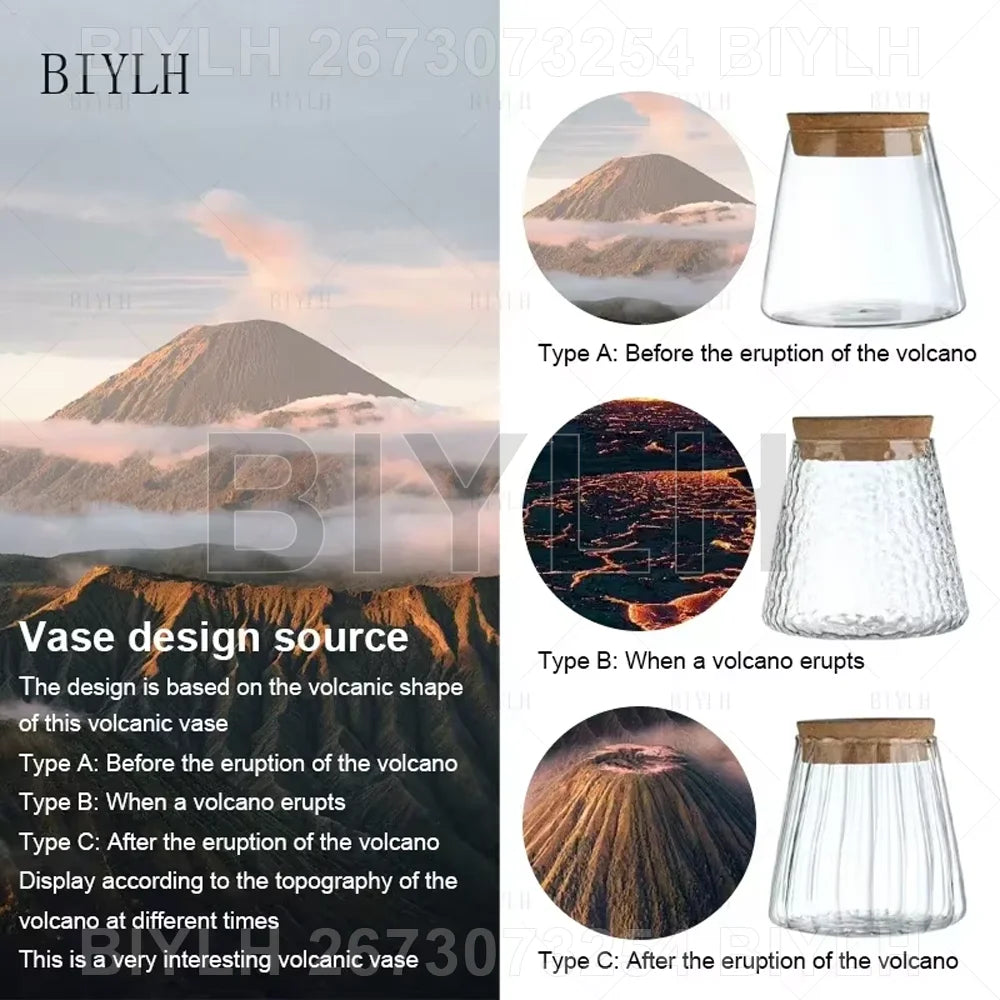 vases plantes verre transparent moderne minimaliste couvercle liège base bois