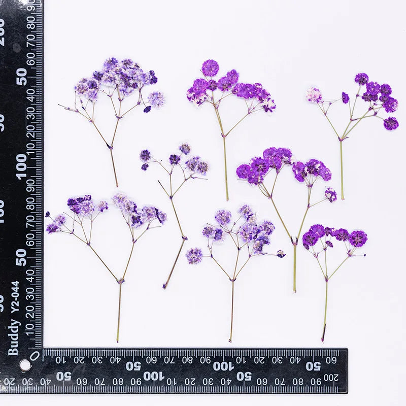 bouquet fleurs séchées naturelles variées bleu vert violet rouge jaunes ornement intérieur décoration artisanale