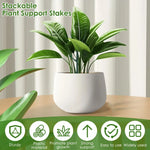 supports plantes grimpantes tuteurs bonsaïs piquets fixation vert foncé moderne jardinage