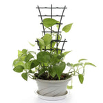 support plante treillis noir quadrillage rustique minimaliste piquets pointus pot fleur légumeintérieurextérieur