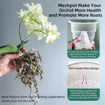 pots orchidées modernes blancs transparents 15cm 12cm 10cm aircone racines rebondissement