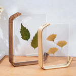 support livre transparent feuilles séchées fleurs séchées moderne minimaliste