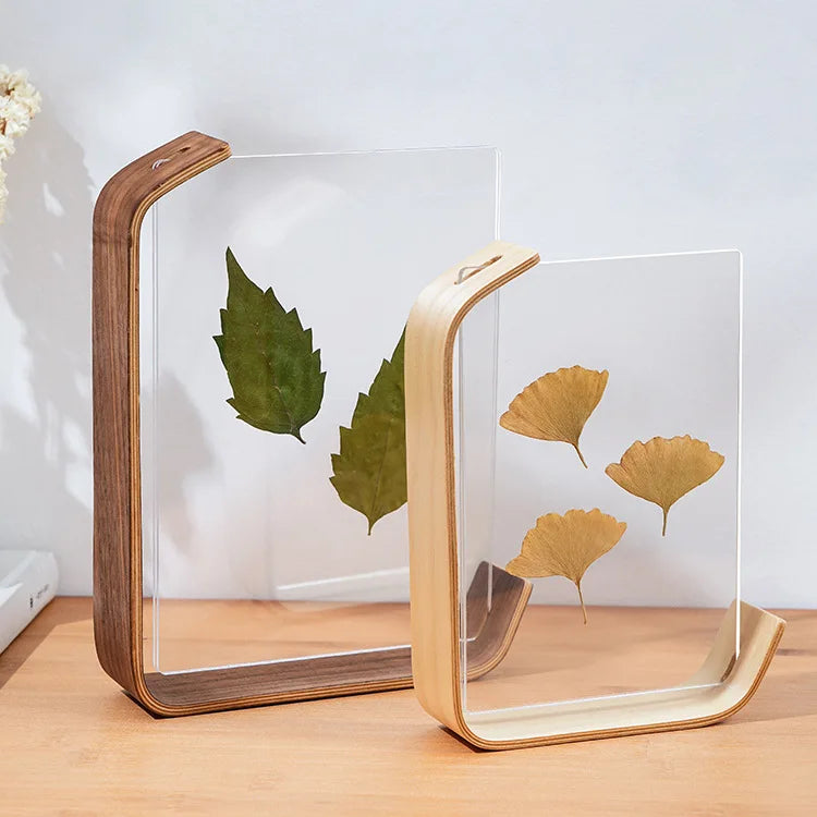 support livre transparent feuilles séchées fleurs séchées moderne minimaliste