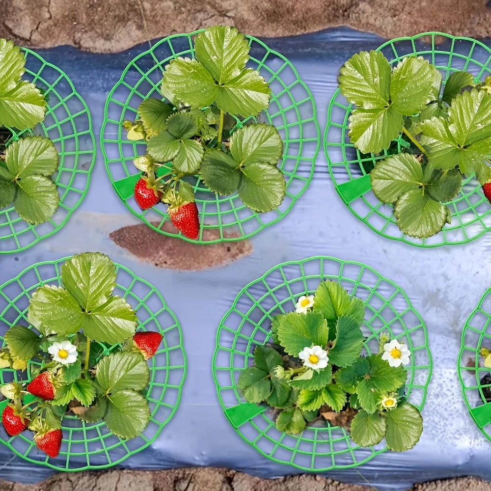 supports plante vert grille plastique anti putréfaction fruits jardinage pots fleurs