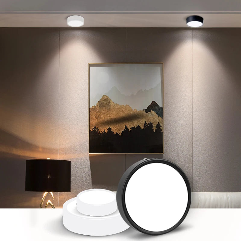 lampe led 5w 10w 15w 25w noir blanc moderne surface vis fixée abat jour
