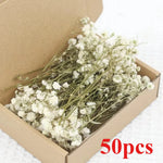 fleurs séchées bouquets multicolore violet orange rouge naturel rustique décoration maison artisanat diysortie