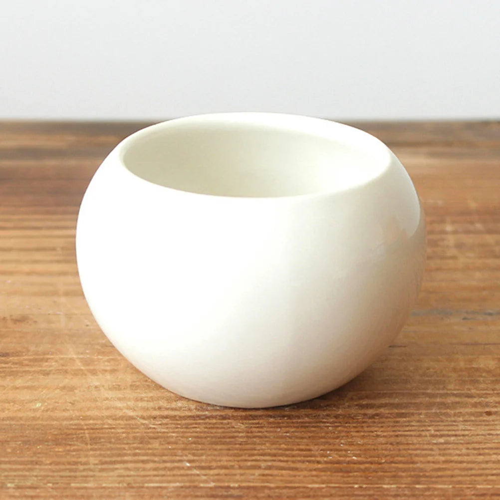 pots céramique blanc modernes intérieur succulentes élégant minimaliste fleurs plantes