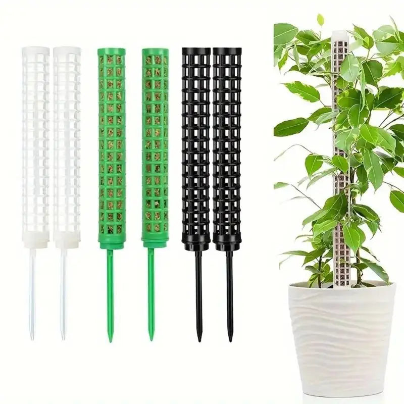 support plantes grimpantes mural blanc moderne vert noir fixe pointe métallique fonctionnelintérieur organisateuraccueilaccessoiremaison