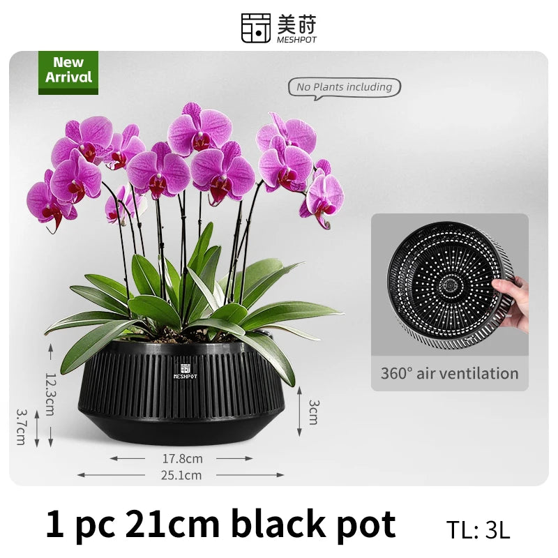 pots orchidées blancs moderne ventilation aération plateaux intérieurs extérieurs
