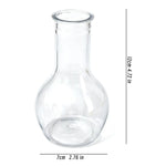 vases hydroponiques transparents modernes plantes tables jardins décoration bureaux