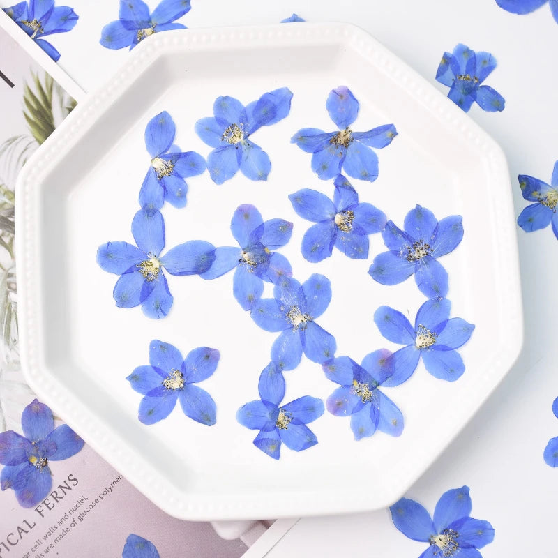 assiette blanche fleurs bleues décoration intérieure anniversaire baby shower classique événementiel festive création