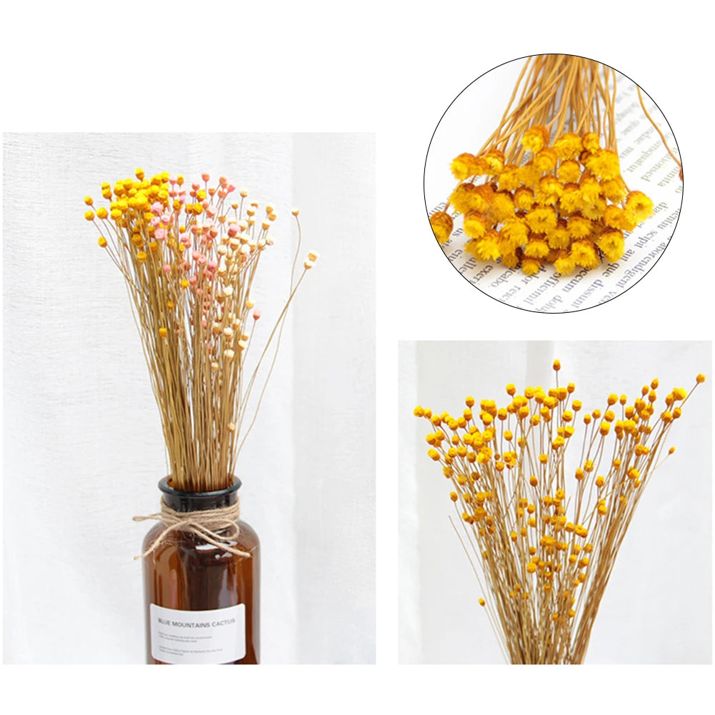 ornements photographie bouquets artificiels couleurs vives naturel rustique fixations ruban jute fond photo