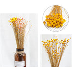 ornements photographie bouquets artificiels couleurs vives naturel rustique fixations ruban jute fond photo