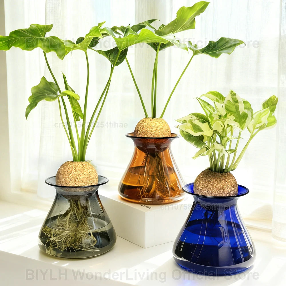 vase verre hydroponie transparent bleu ambré gris plante décoration table moderne minimaliste