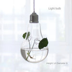 ampoules verre transparentes modernes opalescentes cordelette boutons fixation pot plantes minimaliste