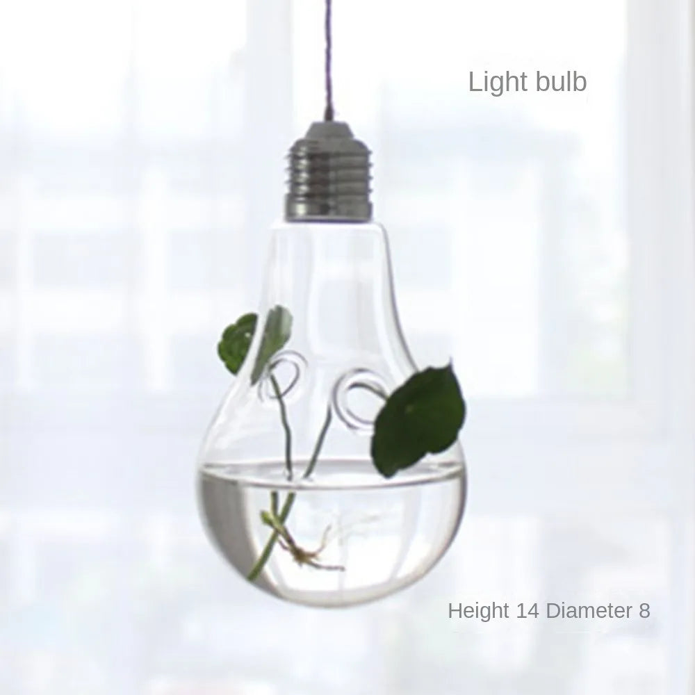 ampoules verre transparentes modernes opalescentes cordelette boutons fixation pot plantes minimaliste