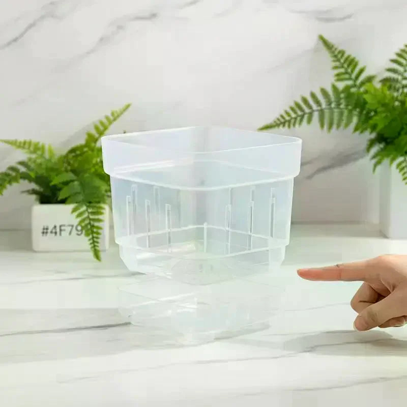 pots fleurs transparents moderne vert blanc rose adhésif grains pierres