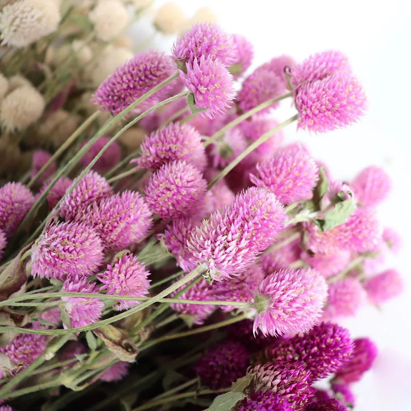 bouquet fleurs séchées violettes blanches naturel rustique décoration intérieur