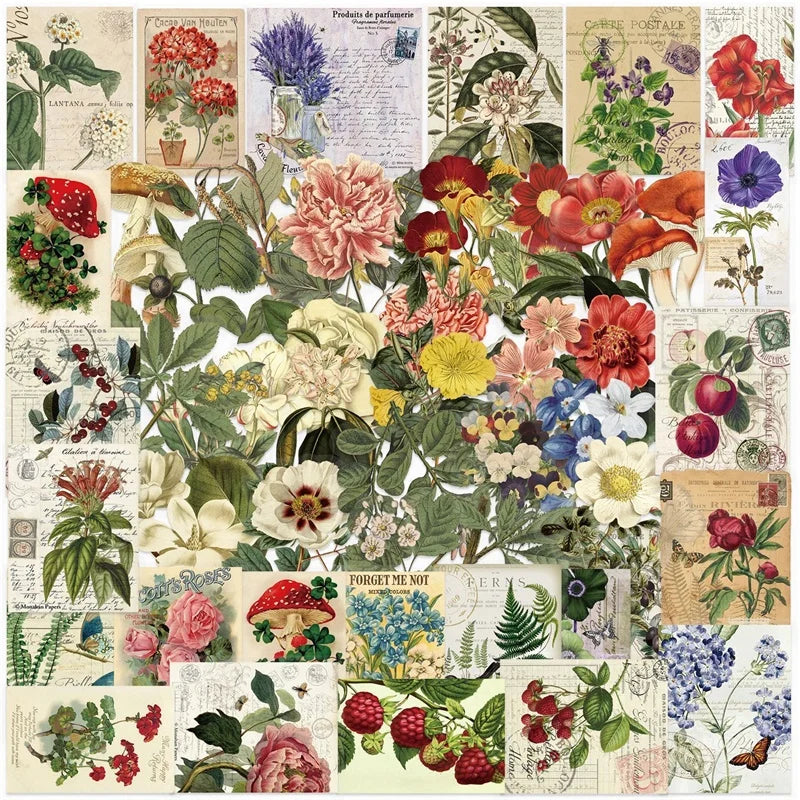 sticker floral vintage botanique adhésif décoration scrapbooking feuilles fleurs champignons papillons lettres motifs anciens
