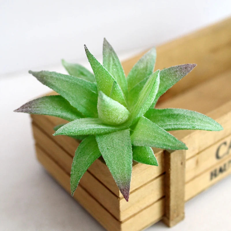 plantes succulentes artificielles cactus agave mini décorations vert blanc moderne minimalisteextérieur exposition