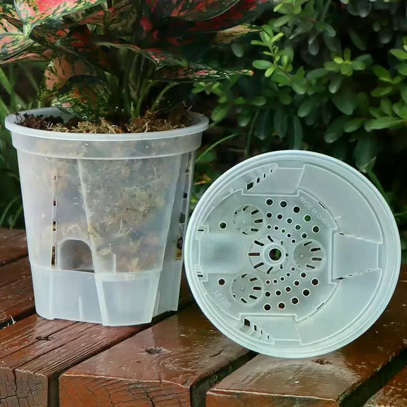 pots plantes transparents blancs modernes minimalistes grille drainage différents disponibles