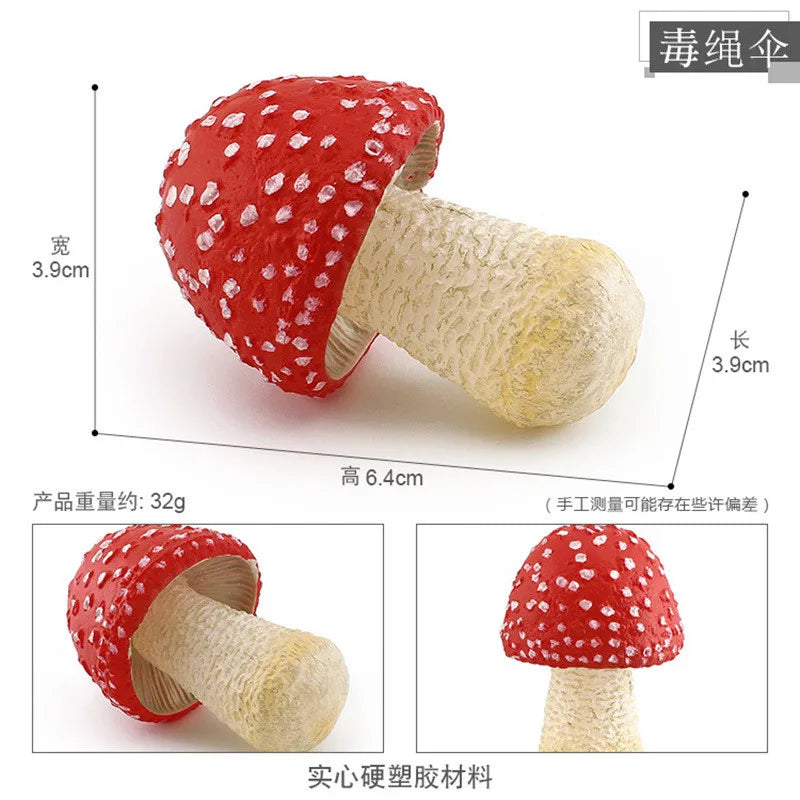 miniatures champignons réalistes photographie accessoires gris rouge blanc marron opaques pastoralesextérieur