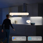 ruban led blanc bleu controle wifi alexa google brillant moderne adhésif 3m 5m 10m