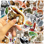 sticker animal sauvage jungle réaliste adhésif divers couleur ours lion éléphant scrapbooking diy coque