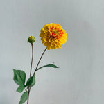 bouquet dahlias artificiels rose blanc rouge violet orange détaillés intérieur mariage festiveDecoration