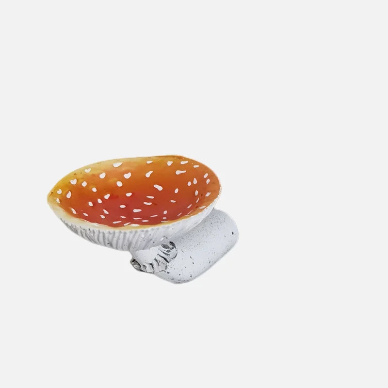 support mural objet rond texture champignon blanc rouge moderne naturel champêtre