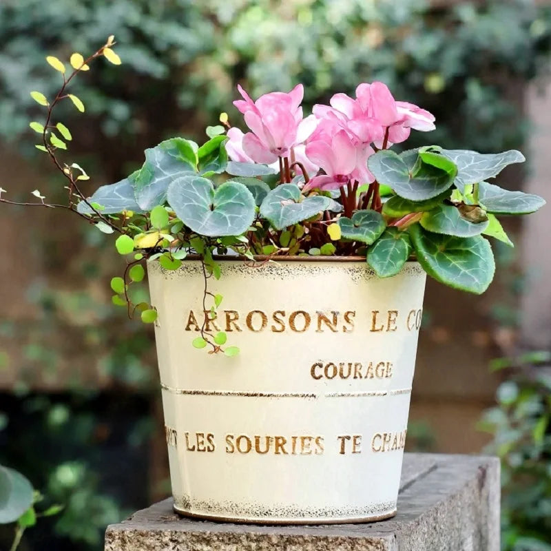 pots fleurs métal vintage rustique blanc crème bronze cyclamen tulipes succulentes bonsaï drainageextérieur balcon