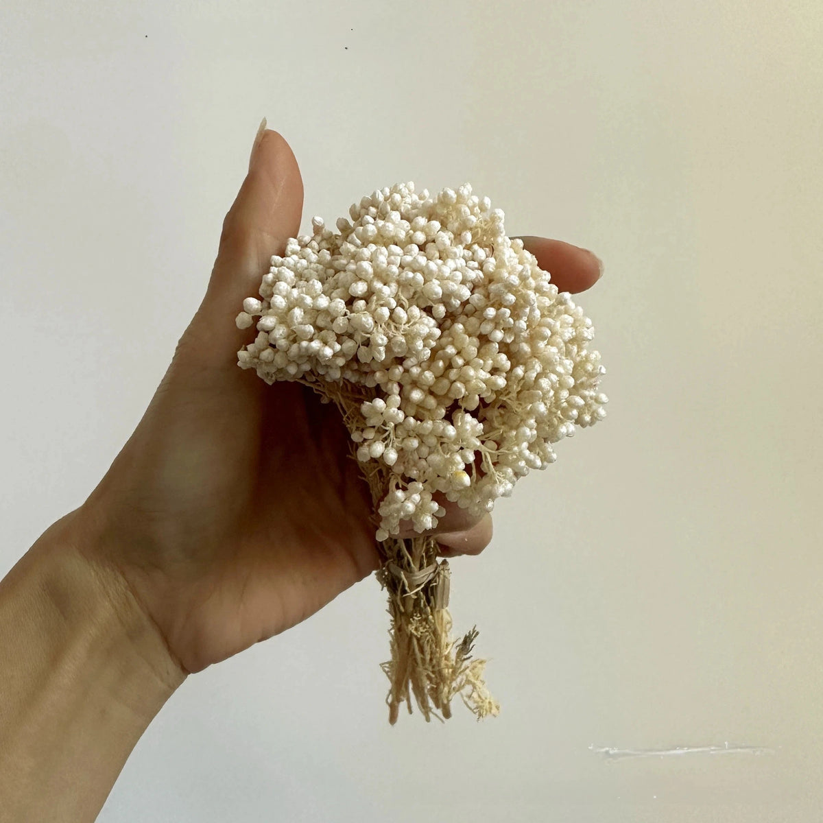 bouquet artificiel multicolore feuilles séchées décoration intérieure anniversaire mariage minimaliste DIY