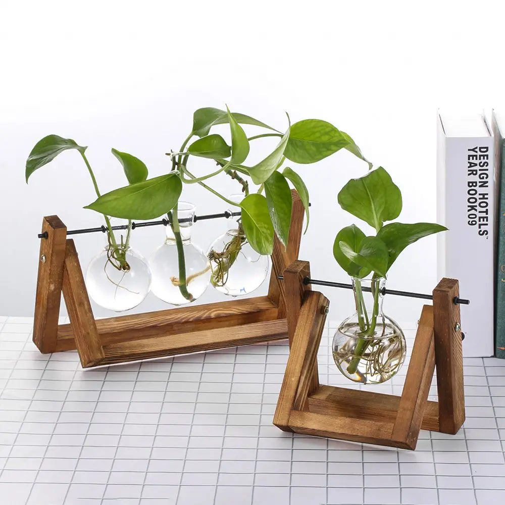 Support plantes verre transparent moderne minimaliste cadre bois clips métalliques deux vases